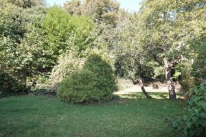 Garden- click for photo gallery